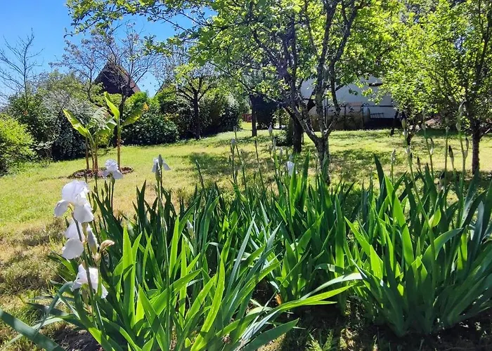 Maison Haute-vue Tatil Evi Saint-Rabier